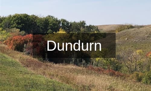 Homes for Sale Dundurn