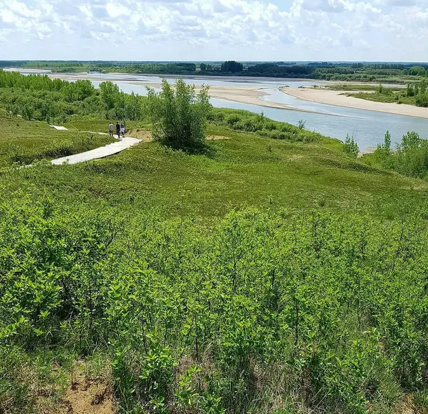 SK Real Estate Near Vanscoy