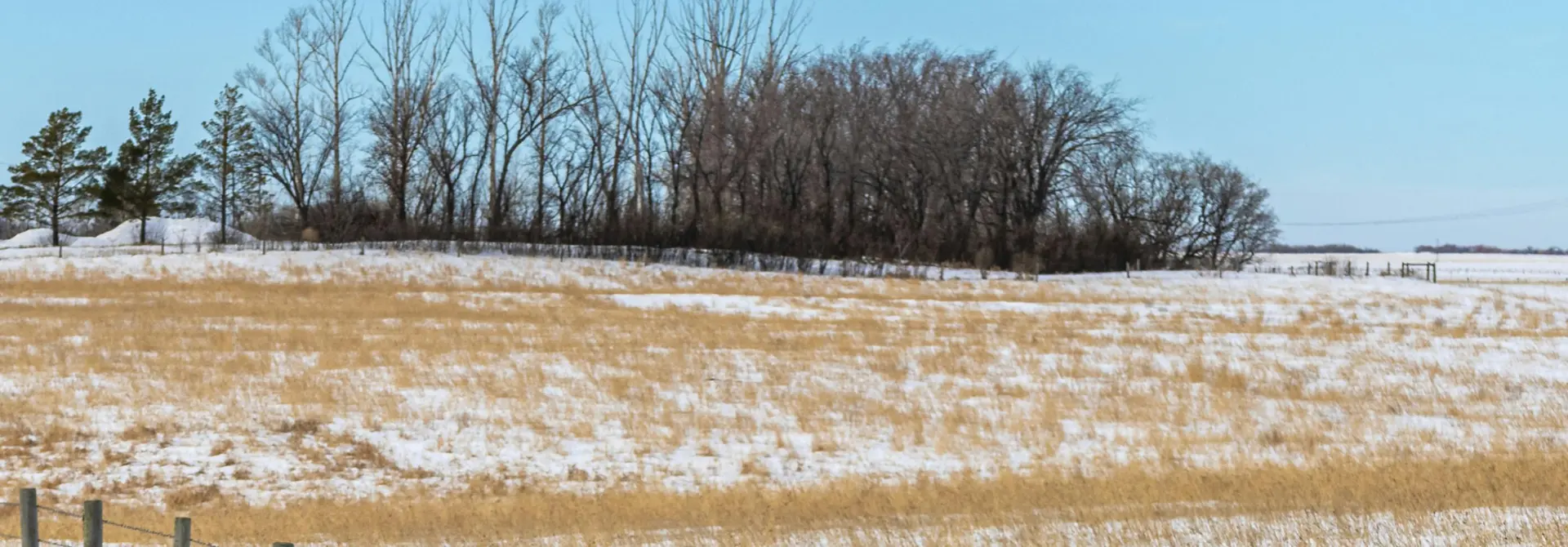 Dalmeny SK Real Estate